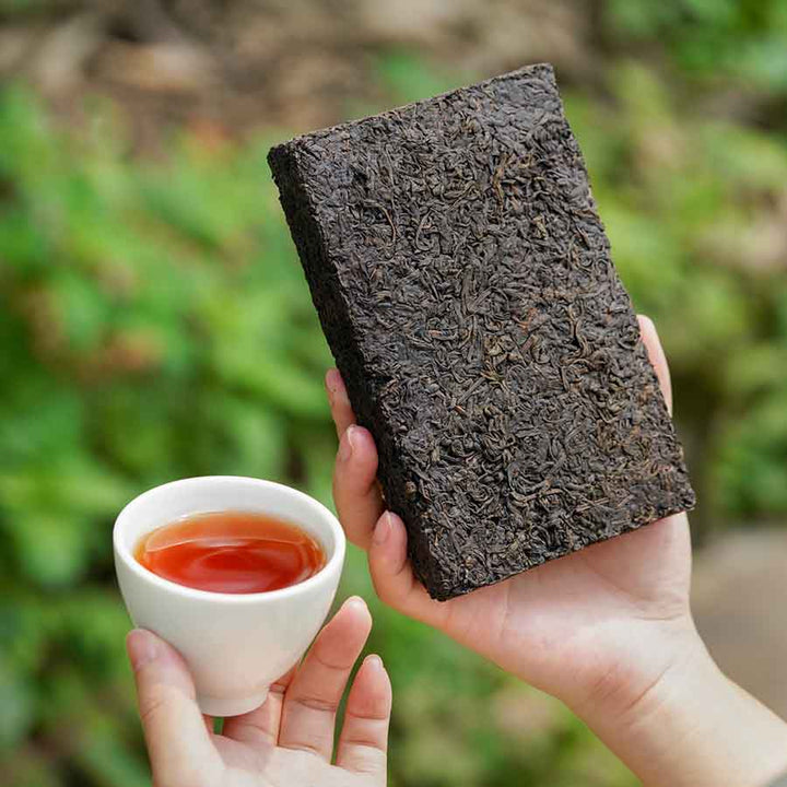 2010 Original Tea Buds Liubao Tea Bricks