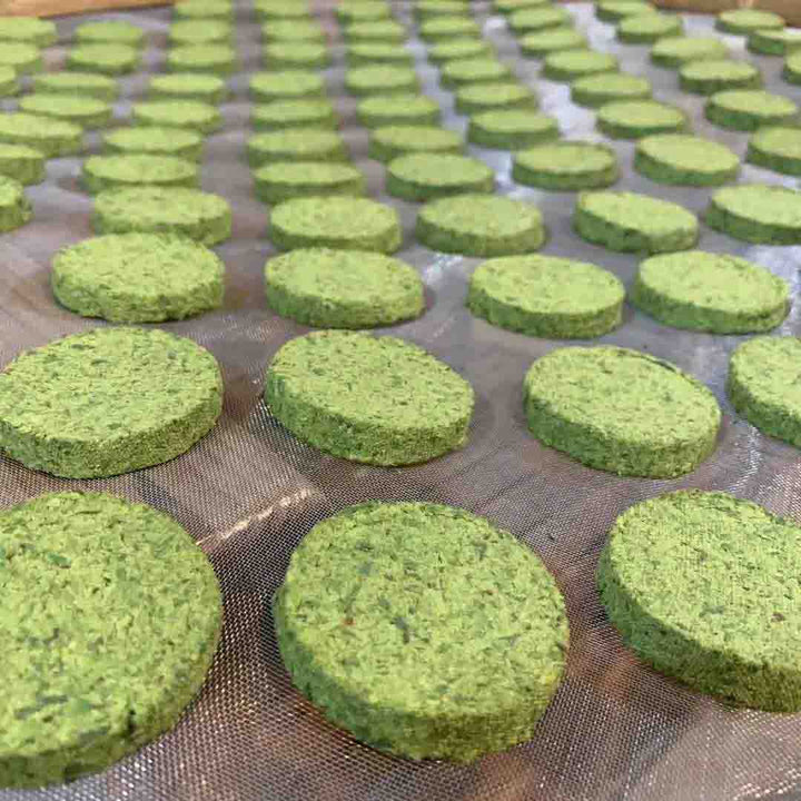 Zi Sun Cha Steamed Green Pancake